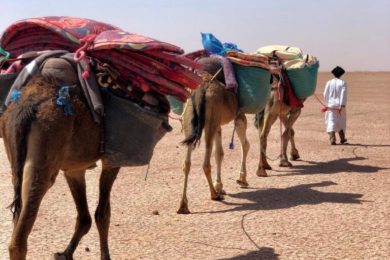 Camel caravan in the Moroccan desert