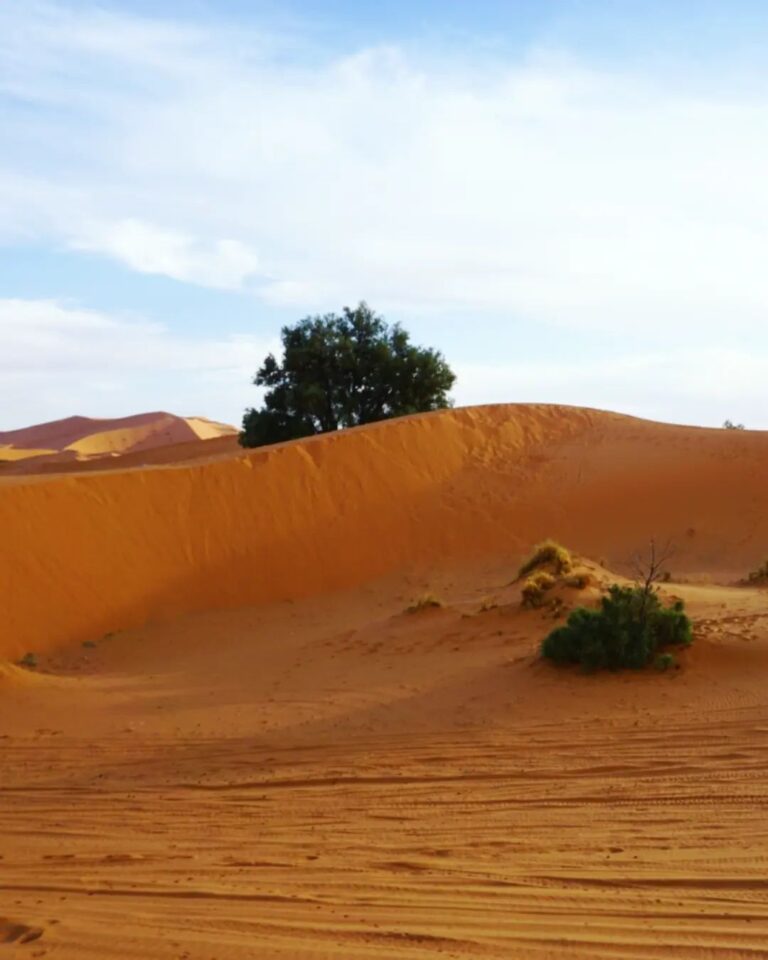 Desert massive dunes