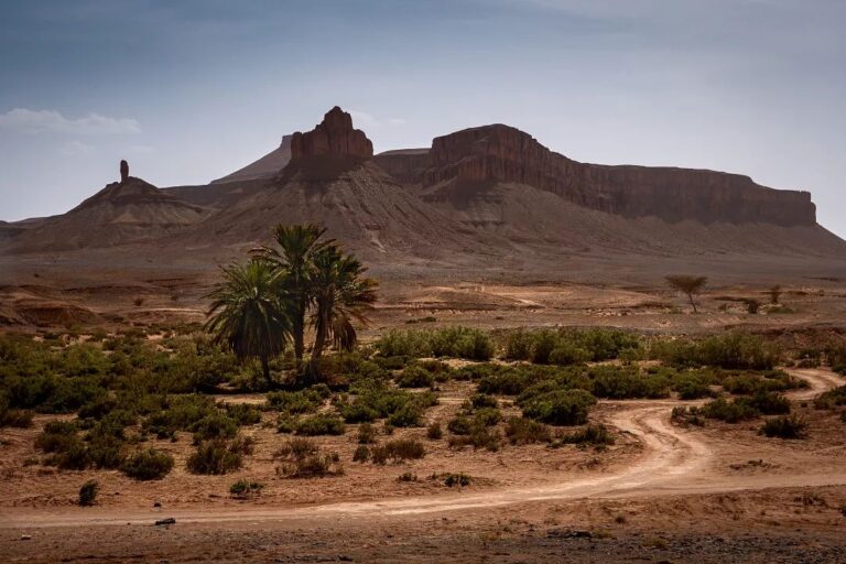 Sahara desert trek in Morocco (2)