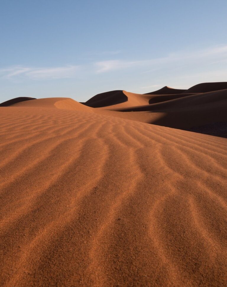 Stunnig view of the Moroccan Sahara desert (11)