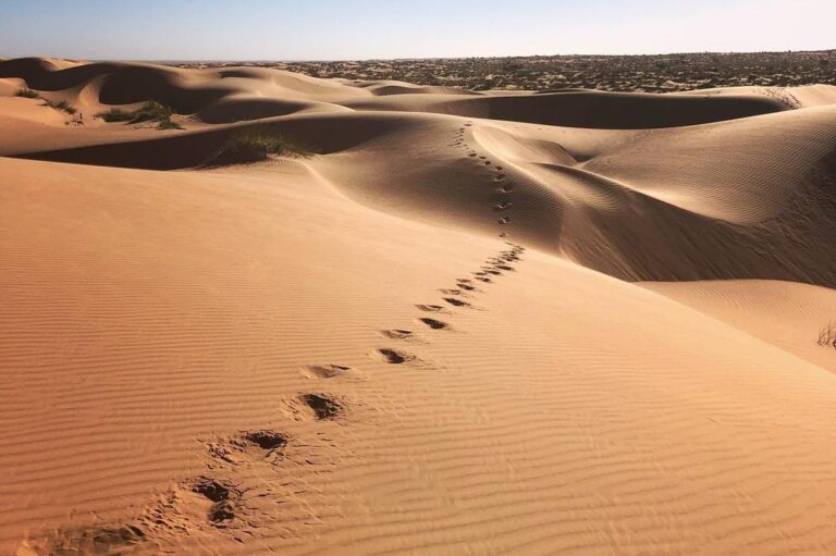 Stunnig view of the Moroccan Sahara desert (13)