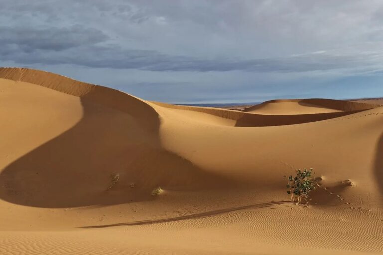 Stunnig view of the Moroccan Sahara desert (15)