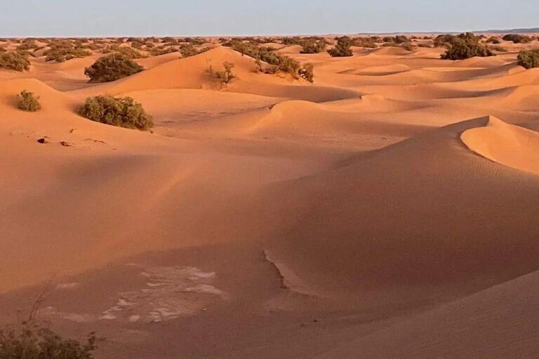 Stunnig view of the Moroccan Sahara desert (18)