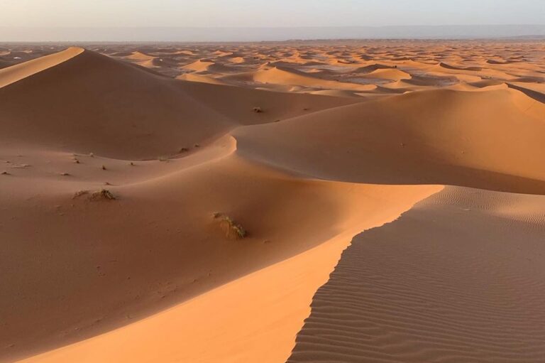 Stunnig view of the Moroccan Sahara desert (21)