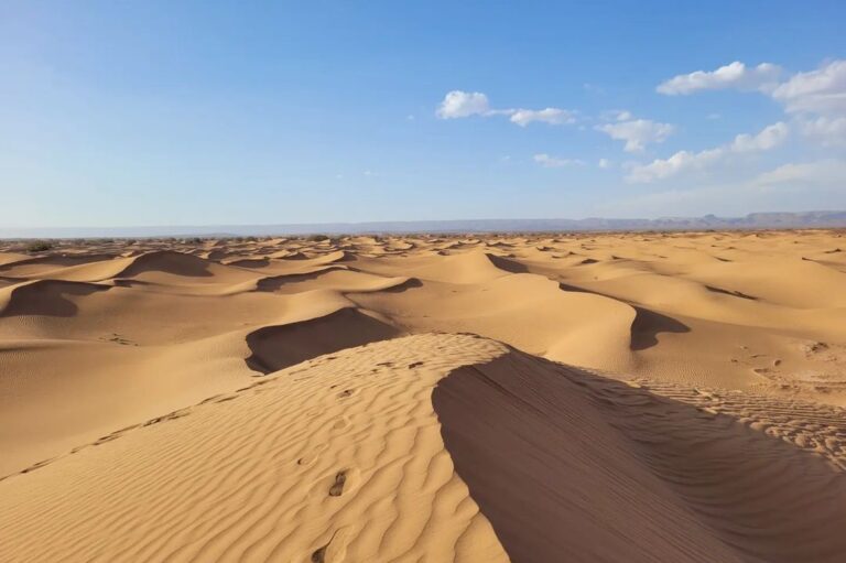 Stunnig view of the Moroccan Sahara desert (7)