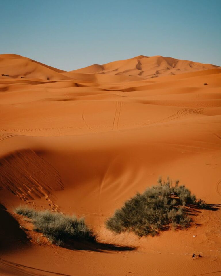 Stunnig view of the Moroccan Sahara desert