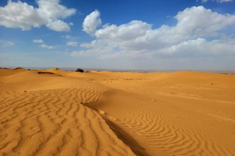 Stunnig view of the Moroccan Sahara desert (8)