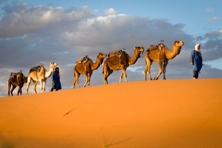 Camel ride