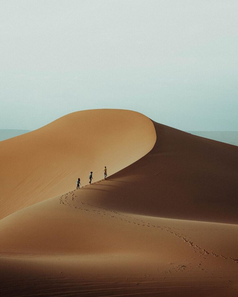 Desert adventure